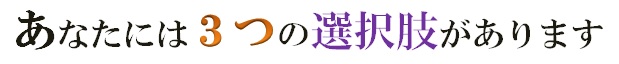 あなたには３つの選択肢があります